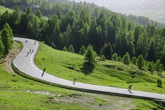 Sporty young people skateboarding at high speed on switchbacks of alpine road pass road from pass