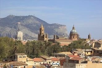 City of Palermo, View from the Campanile di San Giuseppe Cafasso to the Cathedral Maria Santissima