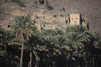 Abandoned houses of the historic settlement of Ghul at Jebel Shams, Oman, Asia