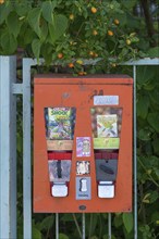 Candy machine from the 1950s, Erlangen, Middle Franconia, Bavaria, Germany, Europe