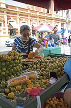 Sales stand for Tucumã-do-Amazonas or Tucumã, Manaus, State of Amazonas, Brazil, South America