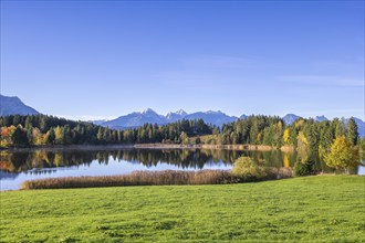 Hegratsrieder See near Füssen, Allgäu Alps, Allgäu, Bavaria, Germany, Europe