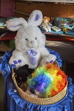 Colourful wig and plush toy bunny for sale inside second hand goods and chattels store, Quebec,