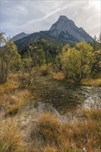 Rißbach stream in the Rißtal valley, boggy area in the riverbed, Karwendel nature park Park in