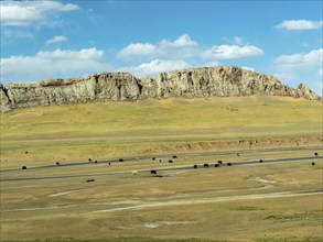 Plains with grazing yaks in the highlands of Tibet along the Tibet railway, China, Asia