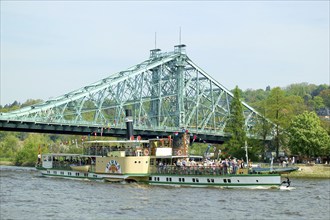 Steamboat parade on the Elbe