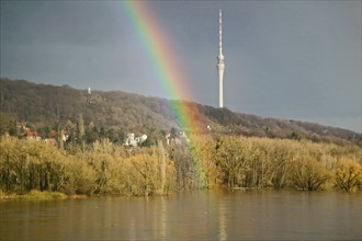 Elbe view from blauen Wunder