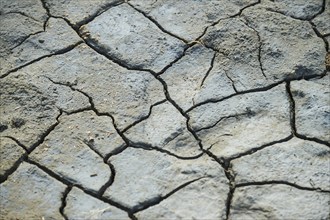 Cracks in the mud in a dried up pond bed, Camargue, France, Europe