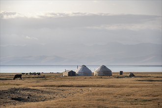 Traditional yurts at Songköl Lake on a plateau, mountains in the background, Kyrgyzstan, Asia