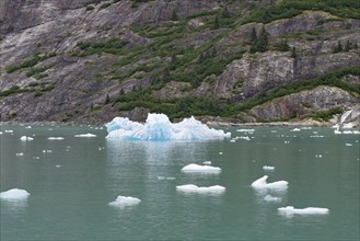 Pieces of ice and fronts of a glacier calving into the sea, Tracy Arm Fiord, Tongass National