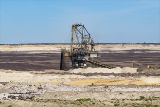 Weaners in the Welzow-Süd opencast lignite mine, Niederlausitz, Spree-Neiße, Brandenburg, Germany,