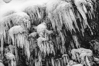 Icicles on the rock face at Skogafoss waterfall, black and white photo, Sudurland, Iceland, Europe