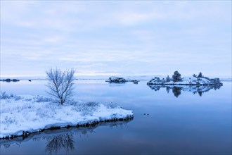 Snow-covered small islands overgrown with bushes in Lake Myvatn, at blue hour, Kalfaströnd,