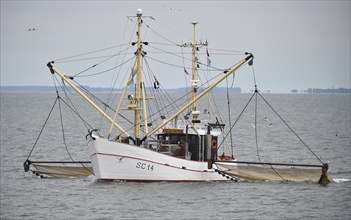 Crab cutter has displayed its nets in the North Sea, Büsum, Germany, Europe