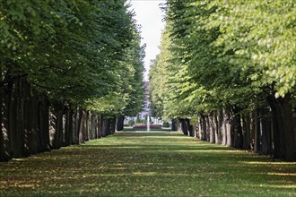 Avenue in the Court Garden, Orangery, Margravial Court Garden Ansbach Park, Garden, Palace Garden,