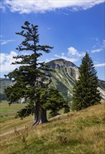 Mountain landscape, Alpine landscape on the Genneralm with Gennerhorn, Osterhorngruppe,