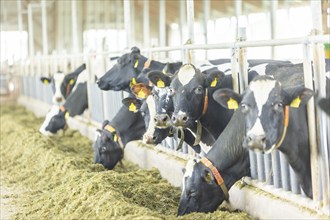 Federal Minister of Food and Agriculture, Cem Özdemir, visits Großdrebnitzer Agrarbetriebsges. mbH