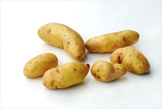 Potatoes (Solanum tuberosum) Rat