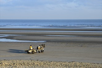 Horse fishermen on their way to fish for Brown shrimp (Crangon crangon), Koksijde, North Sea coast,