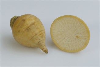 Beet (Brassica rapa), Kohlruebe, Kohlrübe, Teltower Rübe, Speiserübe, Gemuese, vegetable,