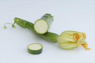 Courgettes (Cucurbita pepo var. giromontiina)