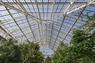 Temperate House, the largest Victorian greenhouse in the world, Royal Botanic Gardens (Kew