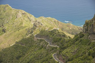 Mountain road, Tagana Valley, Barranco de la Iglesia, macizo de anaga (Montanas de Anaga), Las,