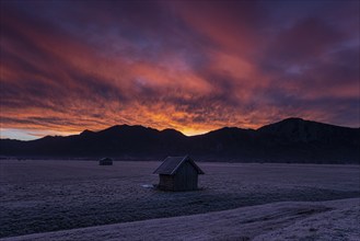 Hut in front of mountains in winter, dawn, backlight, Kochel, in the background Rabenkopf and