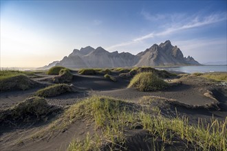 Black beach with volcanic sand, sandy beach, dunes with grass, Stokksnes headland, Klifatindur