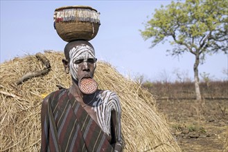 Painted woman of the Mursi tribe wearing lip plate and basket on her head in the Mago National