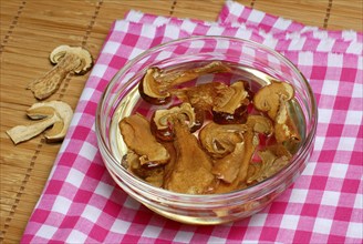 Porcini mushrooms, dried, soaked in water, boletus, King bolete (Boletus edulis)