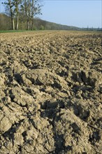 Arable land with broken earth of a ploughed field