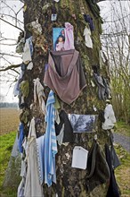 L'arbre à clous, a Belgian wishing tree in Jurbeke, Jurbise, Herchies, Hainaut, Belgium, Europe