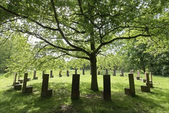 Steel chairs stand in a circle around an oak tree in a green meadow, Spring, The Parliament,