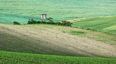 Rural Europe background, Moravian rolling landscape with hunting tower shack on sunset. Moravia,