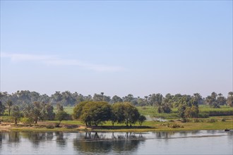 Landscape on the Nile, Nile bank, Egypt, Africa