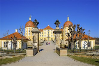 Picturesque view from the south of Moritzburg Castle in Moritzburg near Dresden, Saxony, Germany,