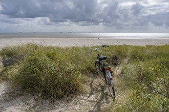 Bicycle in the dunes, North Sea island Föhr, Schleswig-Holstein, Germany, Europe