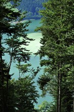 View of the beautiful Schliersee in August, Pre-Alps, Bavaria, Germany, Europe