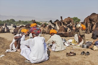 PUSHKAR, INDIA, NOVEMBER 21, 2012: Indian men and camels at Pushkar camel fair (Pushkar Mela),