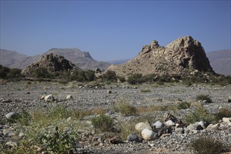 Wadi near Al Hamra with Colemans Rock, Oman, Asia