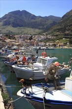 Boats in the fishing port of Castellammare del Golfo, municipality in the province of Trapani,