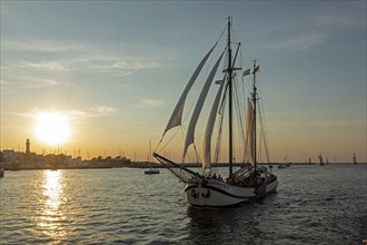 Sailing ship, sunset, Unterwarnow, Hanse Sail, Warnemünde, Rostock, Mecklenburg-Western Pomerania,