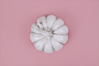 Top view of white decorational pumpkin on pink background