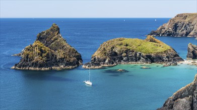 Kynance Cove and Asparagus Island, Cornwall, England, United Kingdom, Europe