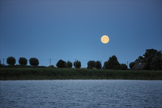 Moonrise, full moon over Bodden landscape, Wustrow, Saaler Bodden, Fischland, Baltic Sea, Germany,