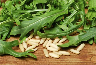 Rocket and seeds (Eruca vesicaria sativa) , rocket, arugula, arugula, rocket salad