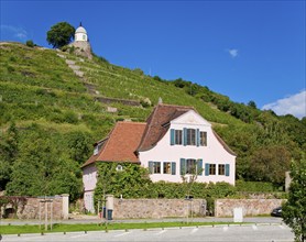 Vineyards and winegrower's house at the Schloss Wackerbarth winery