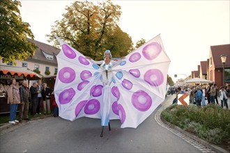 Autumn and wine festival in Altkötzschenbroda