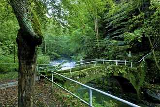 Liebethaler Grund near Lohmen in Saxon Switzerland